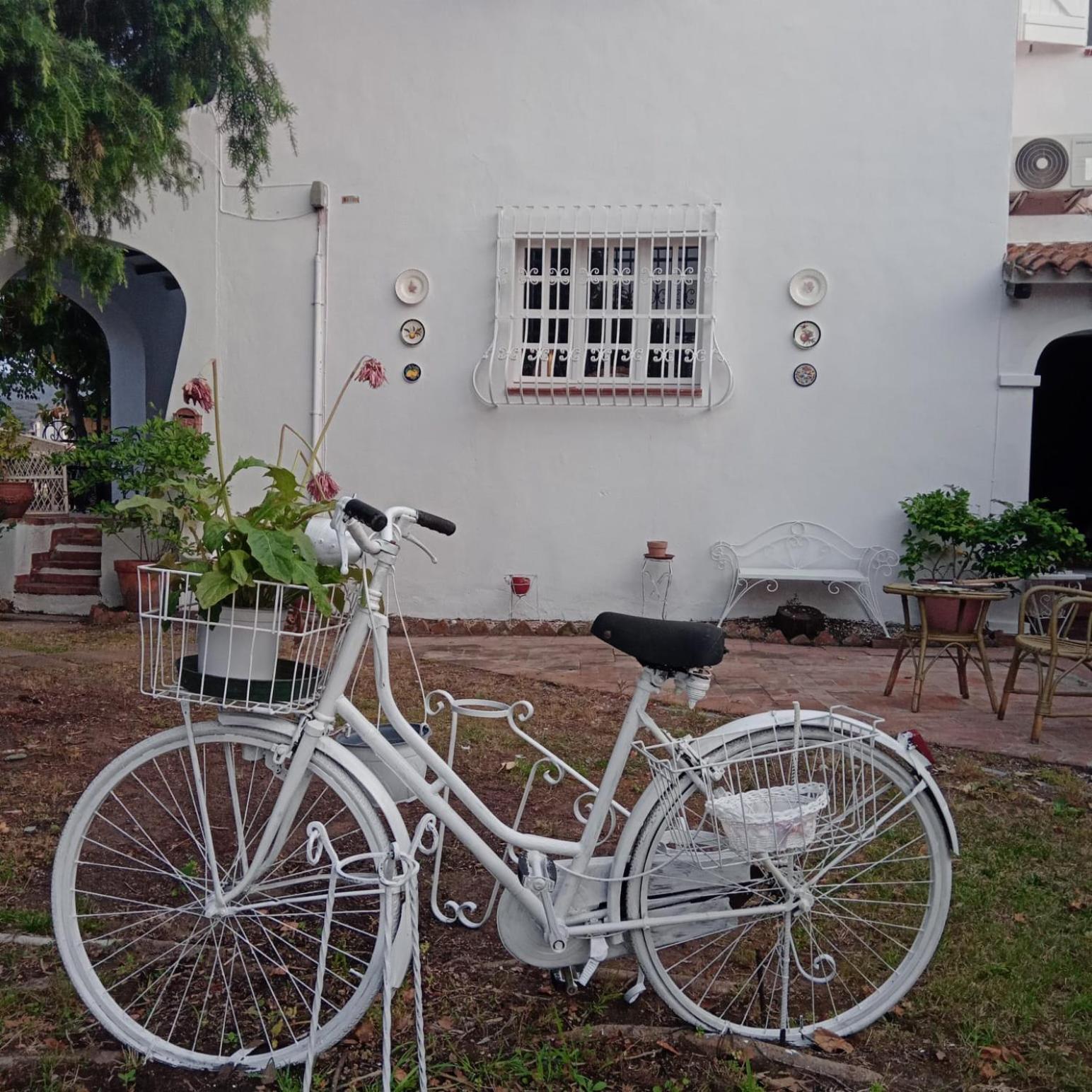 Da Tea Bed and Breakfast San Teodoro  Esterno foto